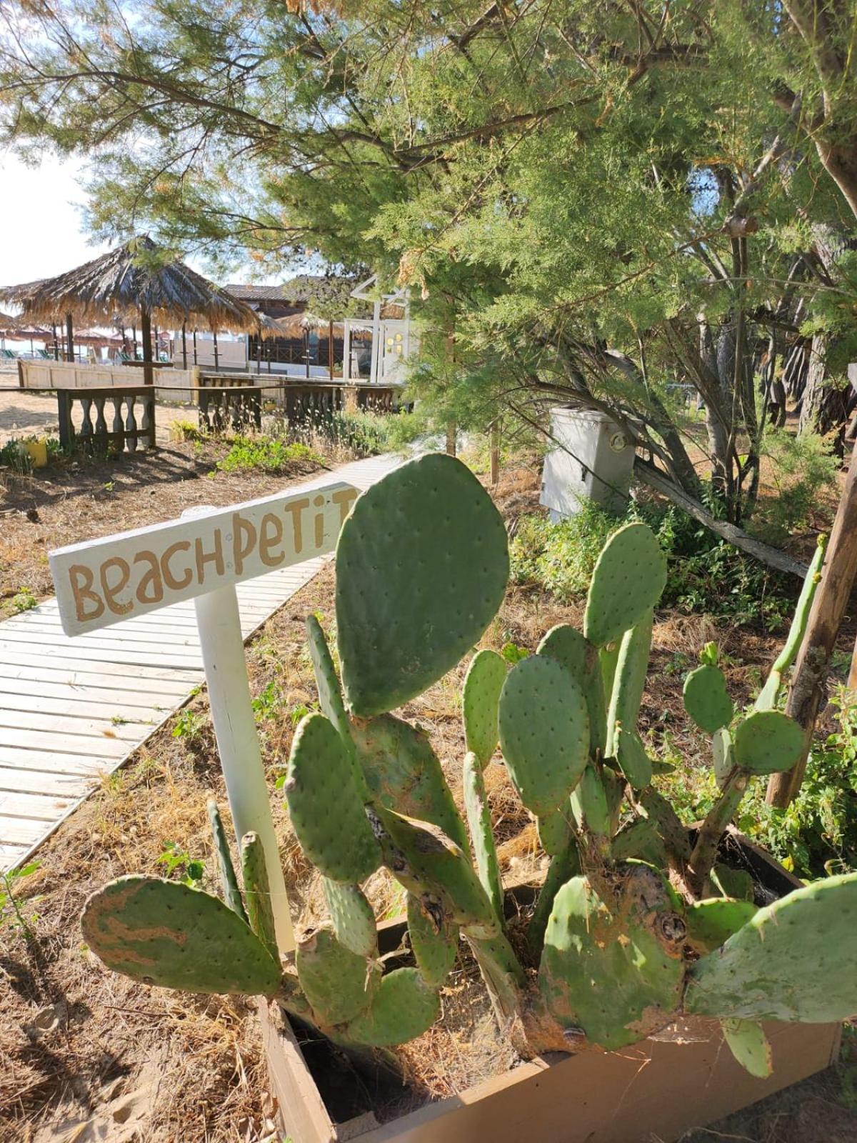 Petit Hotel Silvi Marina