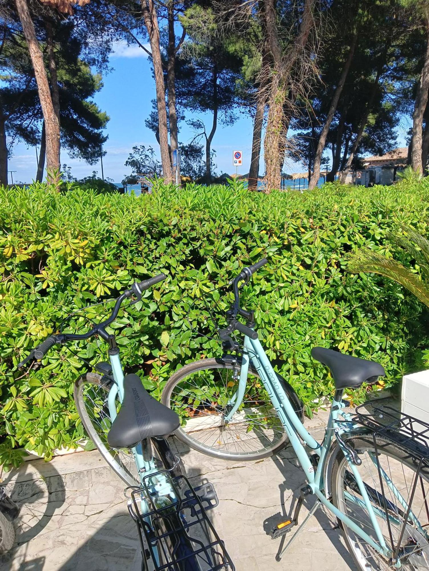 Petit Royal Hotel Silvi Marina
