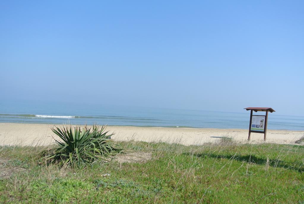 Petit Silvi Marina