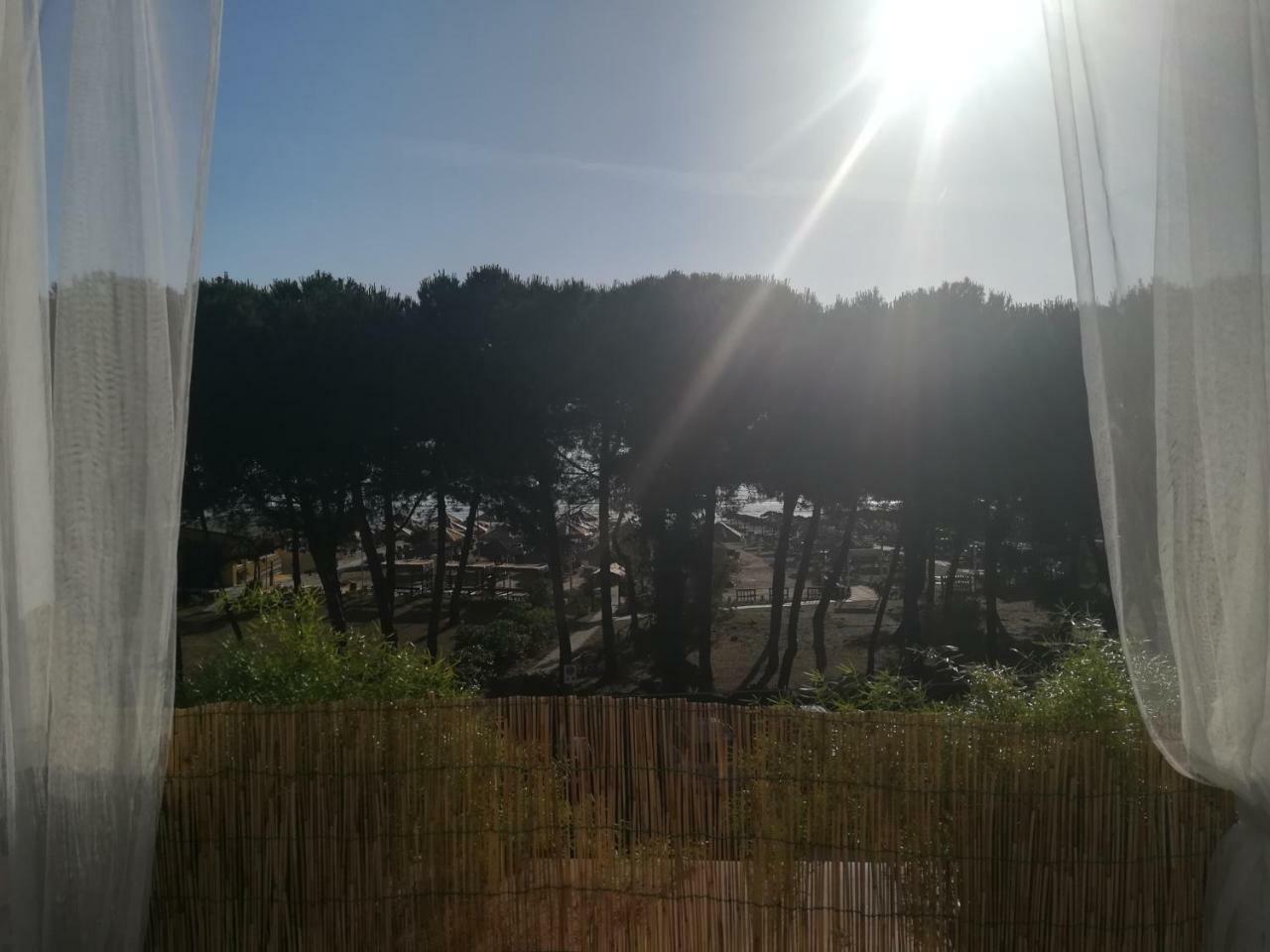 Petit Silvi Marina