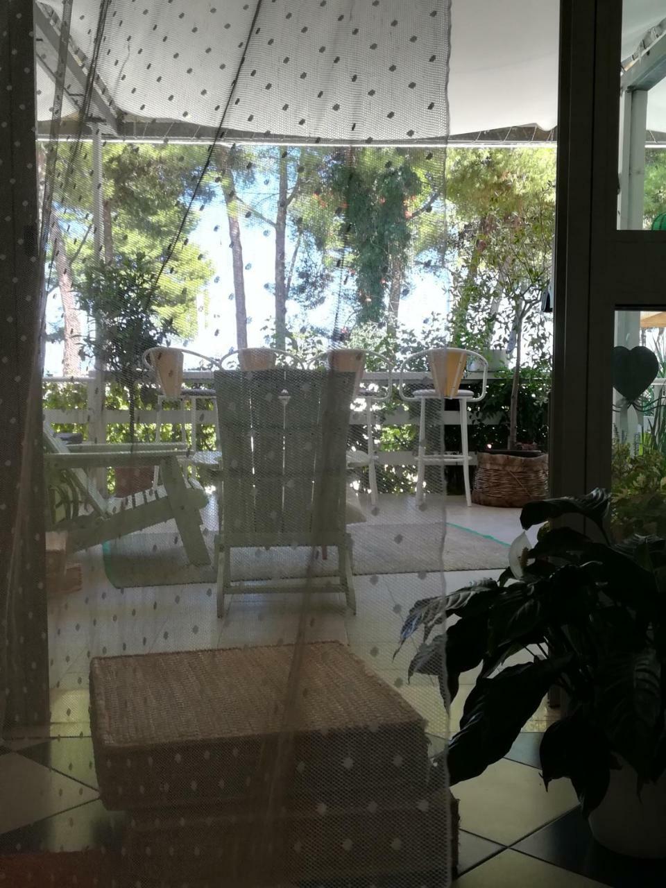 Hotel Petit Silvi Marina